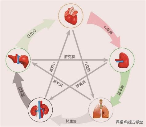 五行 五味|中醫知識 